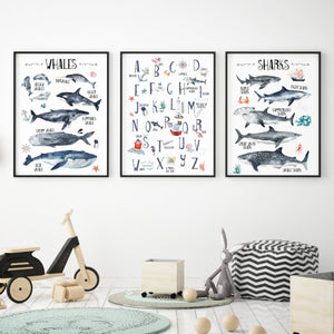 Educational Ocean Wall Print Set of 3, Whales & Sharks Nautical Alphabet Kids Bedroom Wall Art, Nautical Theme, Oceanic Nursery Kids Bedroom Decor
