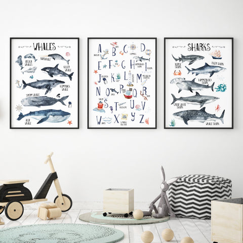Educational Ocean Wall Print Set of 3, Whales & Sharks Nautical Alphabet Kids Bedroom Wall Art, Nautical Theme, Oceanic Nursery Kids Bedroom Decor