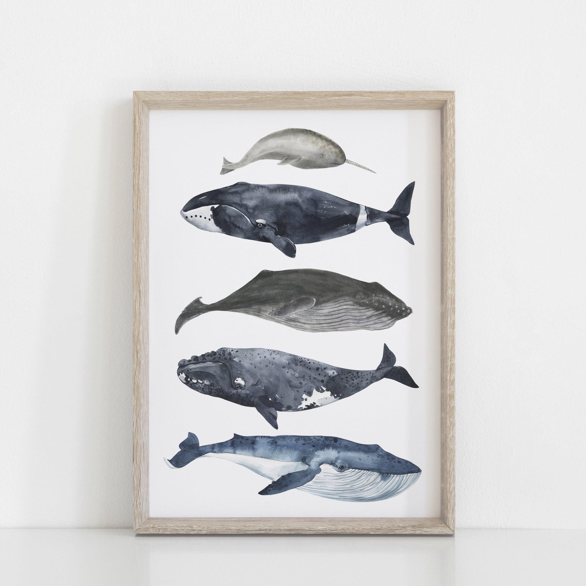Whale wall decor sales nursery