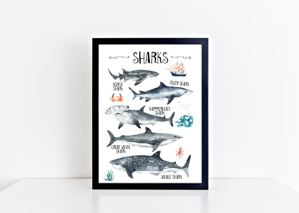 Shark Species Wall Print, Educational Kids Bedroom Wall Art, Nautical Theme, Oceanic Nursery Kids Bedroom Decor