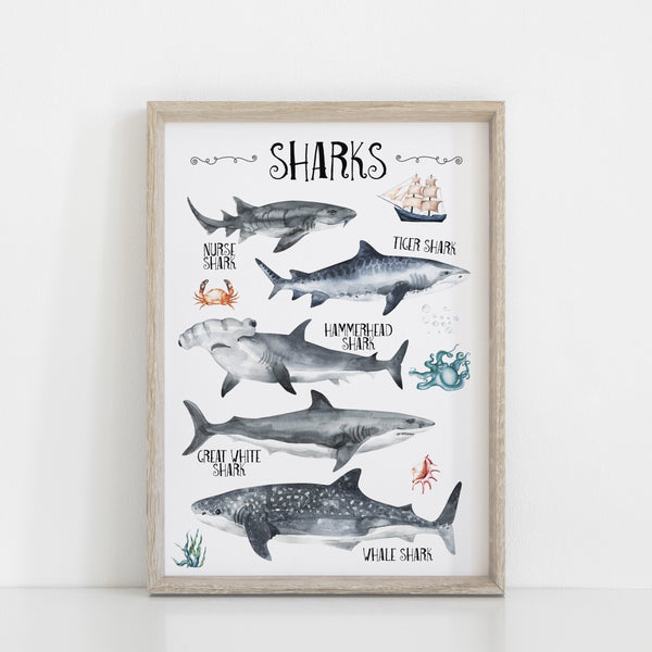 Educational Ocean Wall Print Set of 2, Whales & Sharks Nautical Alphabet Kids Bedroom Wall Art, Nautical Theme