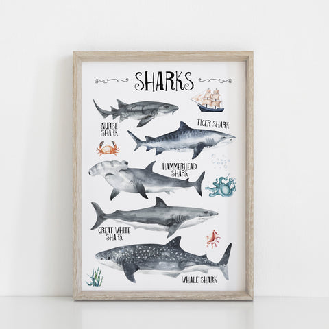 Shark Species Wall Print, Educational Kids Bedroom Wall Art, Nautical Theme, Oceanic Nursery Kids Bedroom Decor