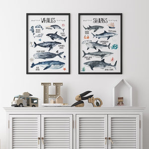 Educational Ocean Wall Print Set of 2, Whales & Sharks Nautical Alphabet Kids Bedroom Wall Art, Nautical Theme