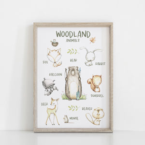 Woodland Animal Wall Print, Educational Kids Bedroom Wall Art, Animal Theme, Nursery Kids Bedroom Decor, Bear, Fox, Racoon, Squirrel, Deer, Rabbit