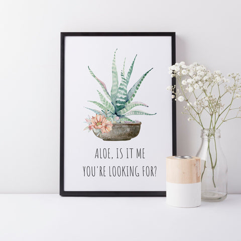 Aloe Cactus Succulent Wall Art Decor, Aloe is it Me Your Looking For, Funny Humorous Print Wall Decor A3, A4 or A5