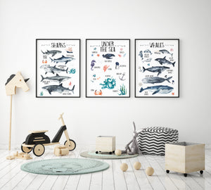 Under the Sea Oceanic Wall Print Set of 3, Whales & Sharks Educational Kids Bedroom Wall Art, Nautical Theme, Nursery Kids Bedroom Decor