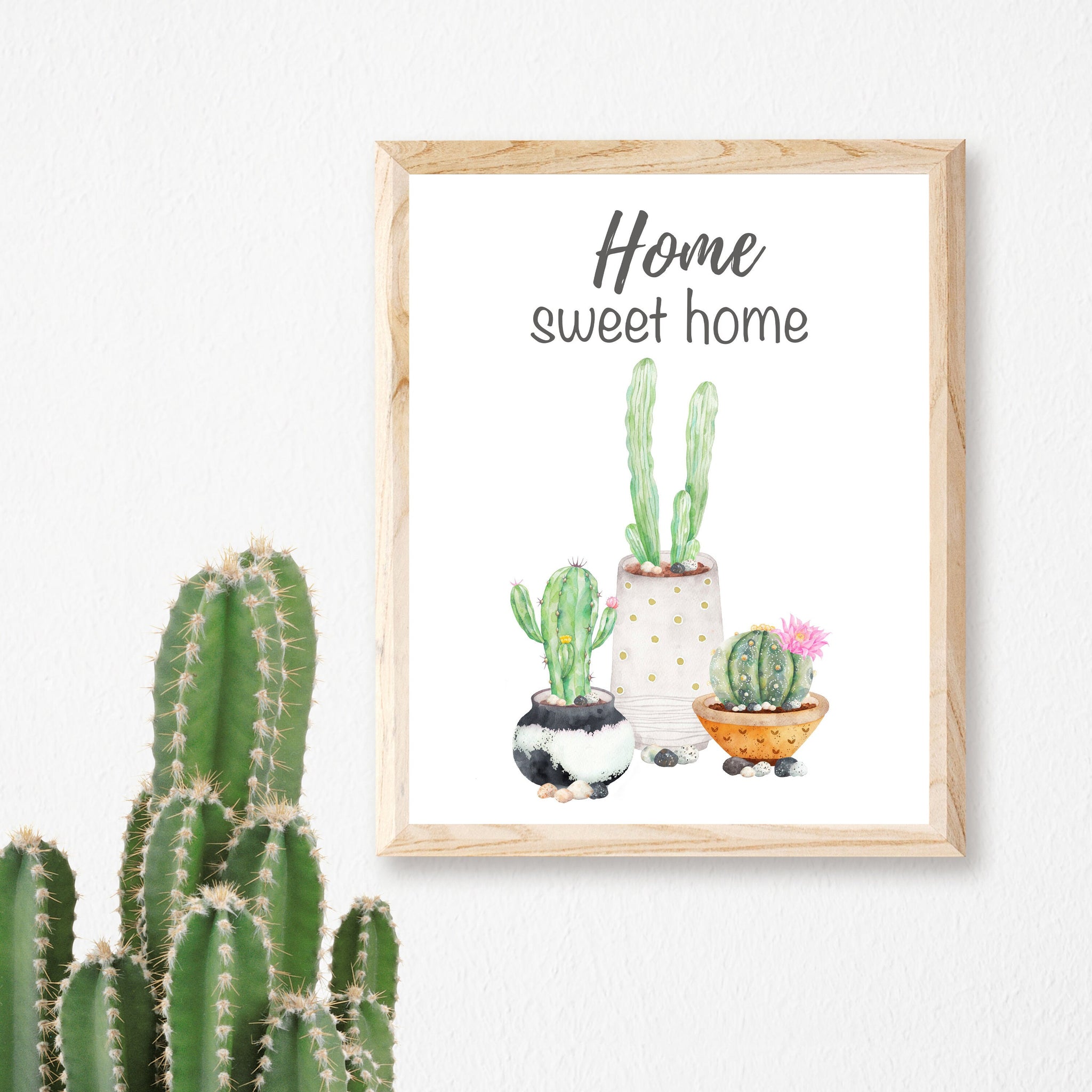 7 Succulents Whispering Whimsical Muses To The Interiors Of The Home