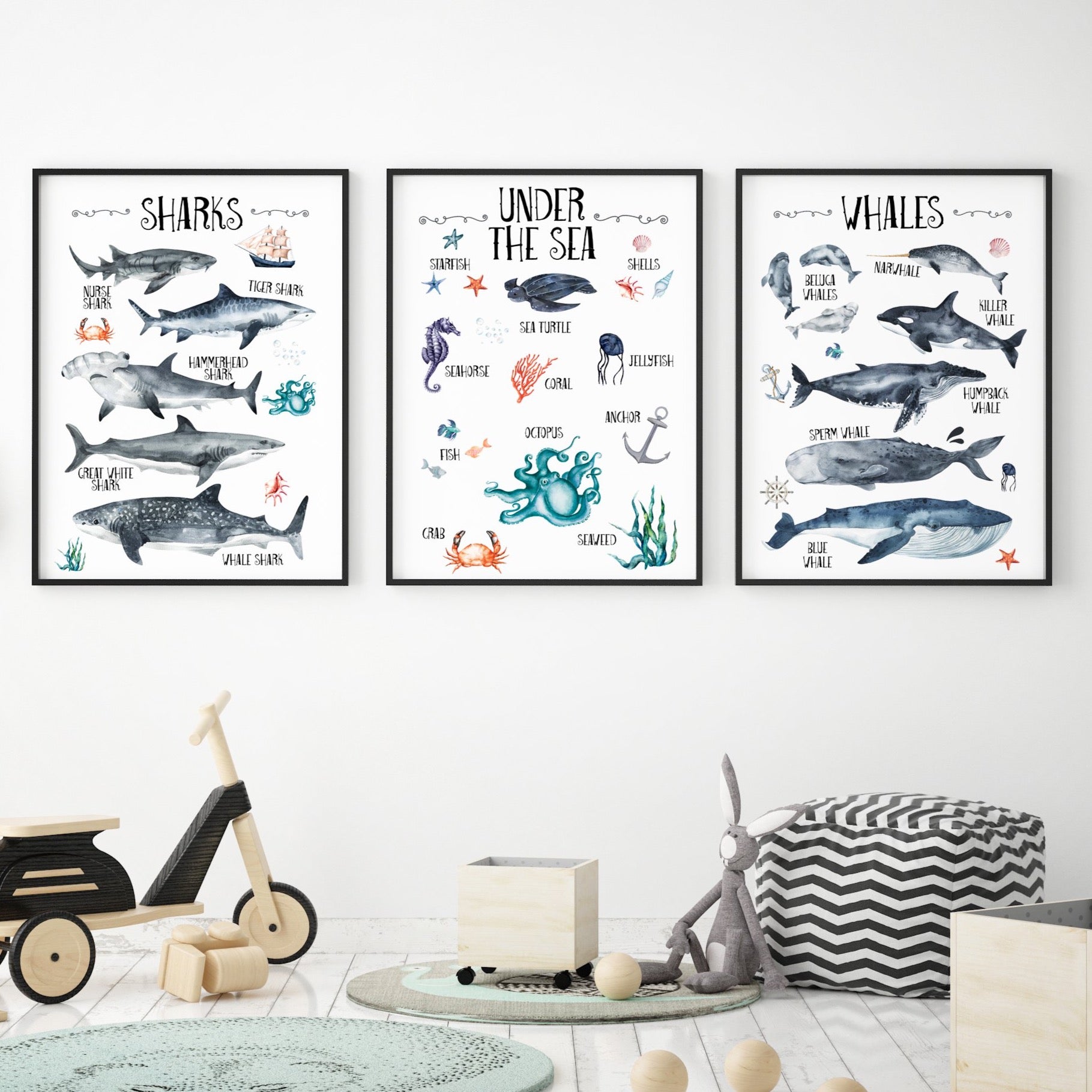 Under the Sea Oceanic Wall Print Set of 3, Whales & Sharks Educational Kids Bedroom Wall Art, Nautical Theme