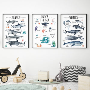 Under the Sea Oceanic Wall Print Set of 3, Whales & Sharks Educational Kids Bedroom Wall Art, Nautical Theme