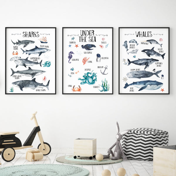 Under the Sea Oceanic Wall Print Set of 3, Whales & Sharks Educational Kids Bedroom Wall Art, Nautical Theme